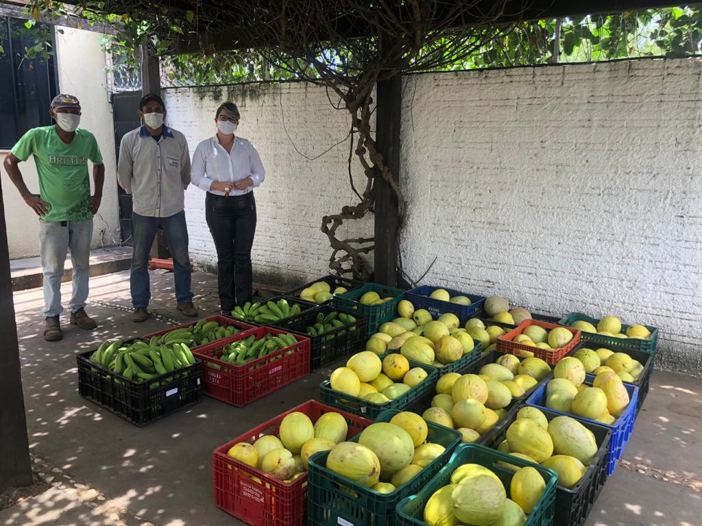 Mais de 2.500 quilos de frutas foram doados à Secretaria de Desenvolvimento Social