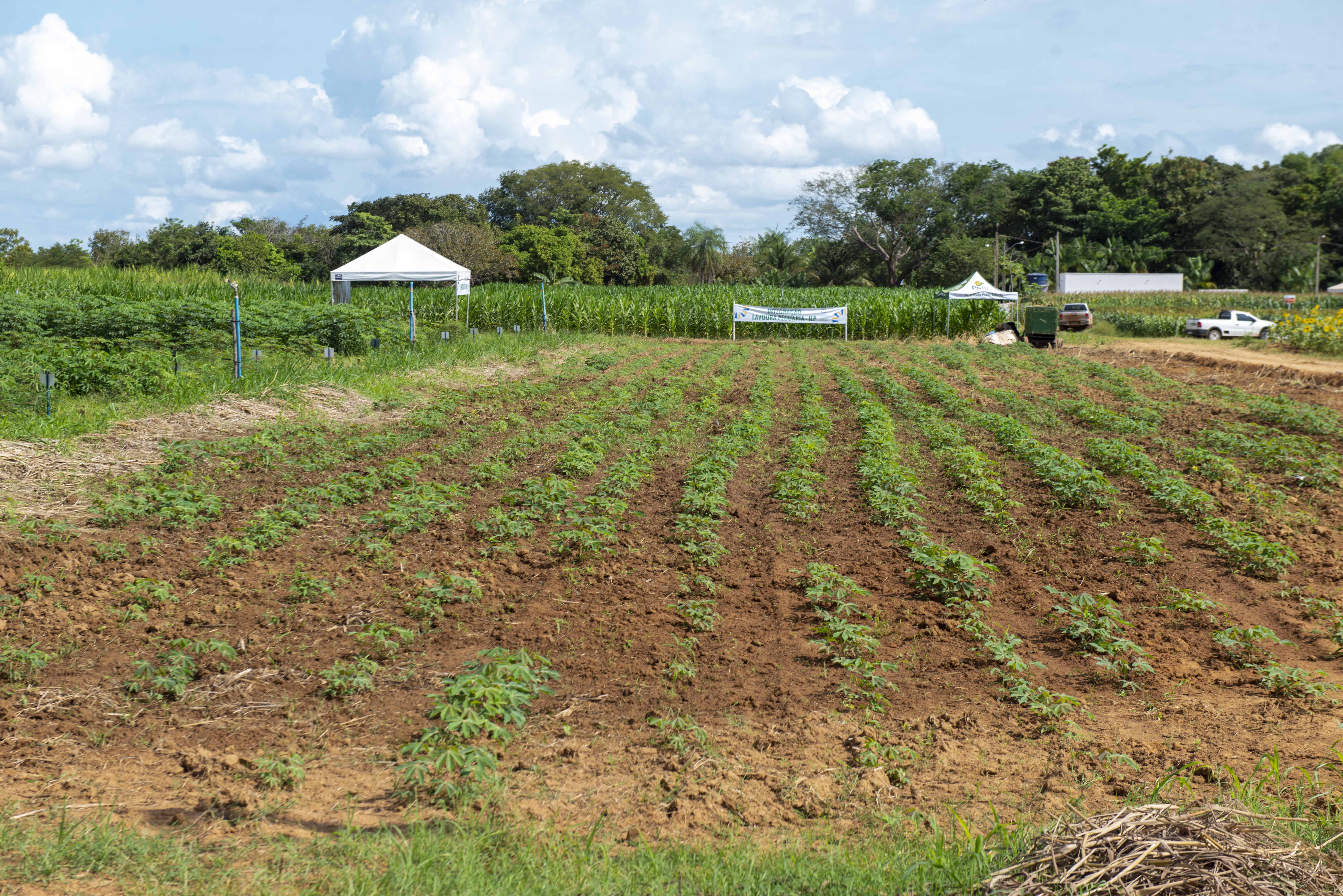 Seder leva capacitação a produtores durante Dia Técnico na Fazendinha do Calor Humano