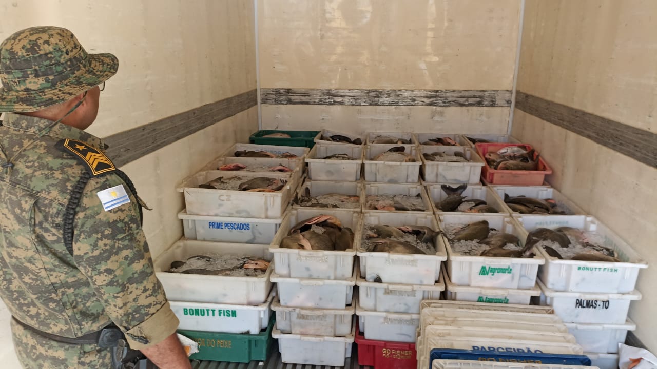 Guarda Metropolitana Ambiental apreende aproximadamente duas toneladas de pescado