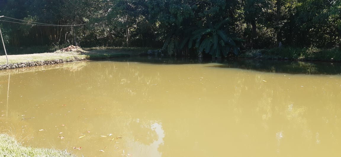 Assistência Técnica fornecida pela Prefeitura de Palmas leva orientações para produtores interessados no cultivo de peixes