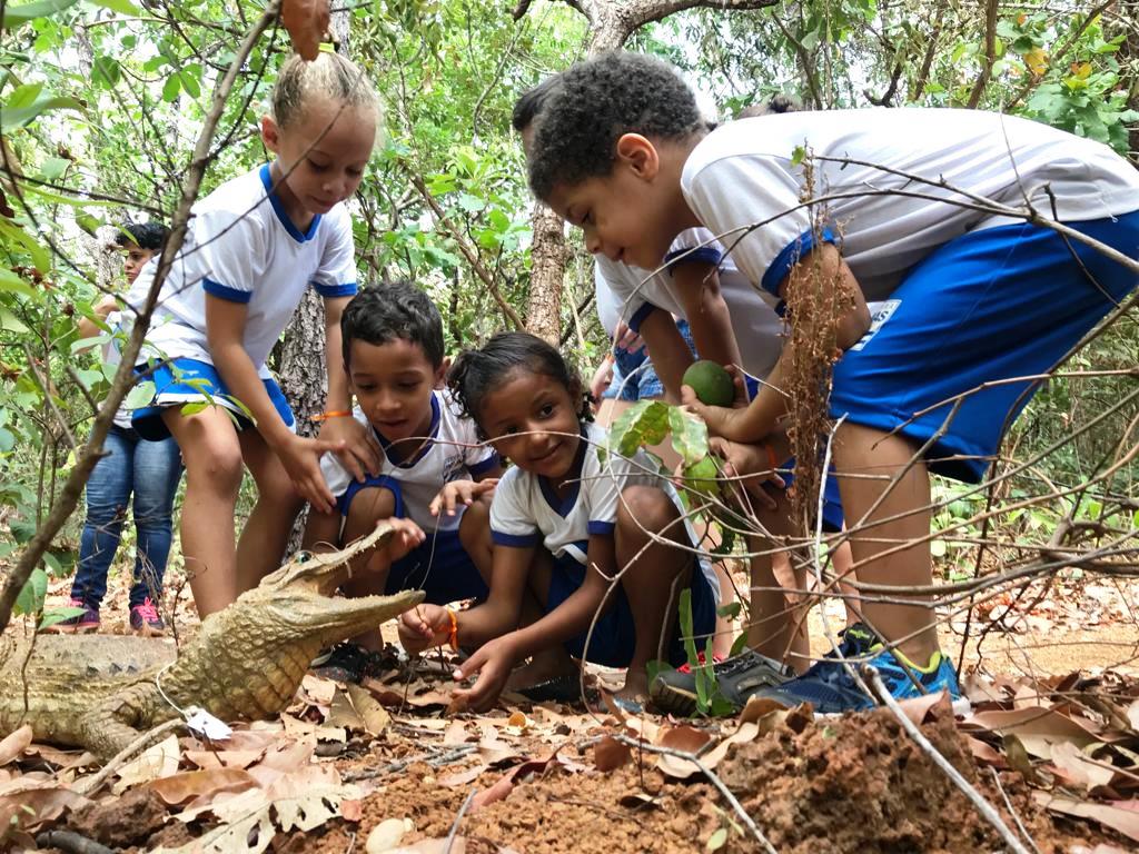 Crianças do Cmei Contos de Fada visitam projeto de educação ambiental ‘Terraquarium’