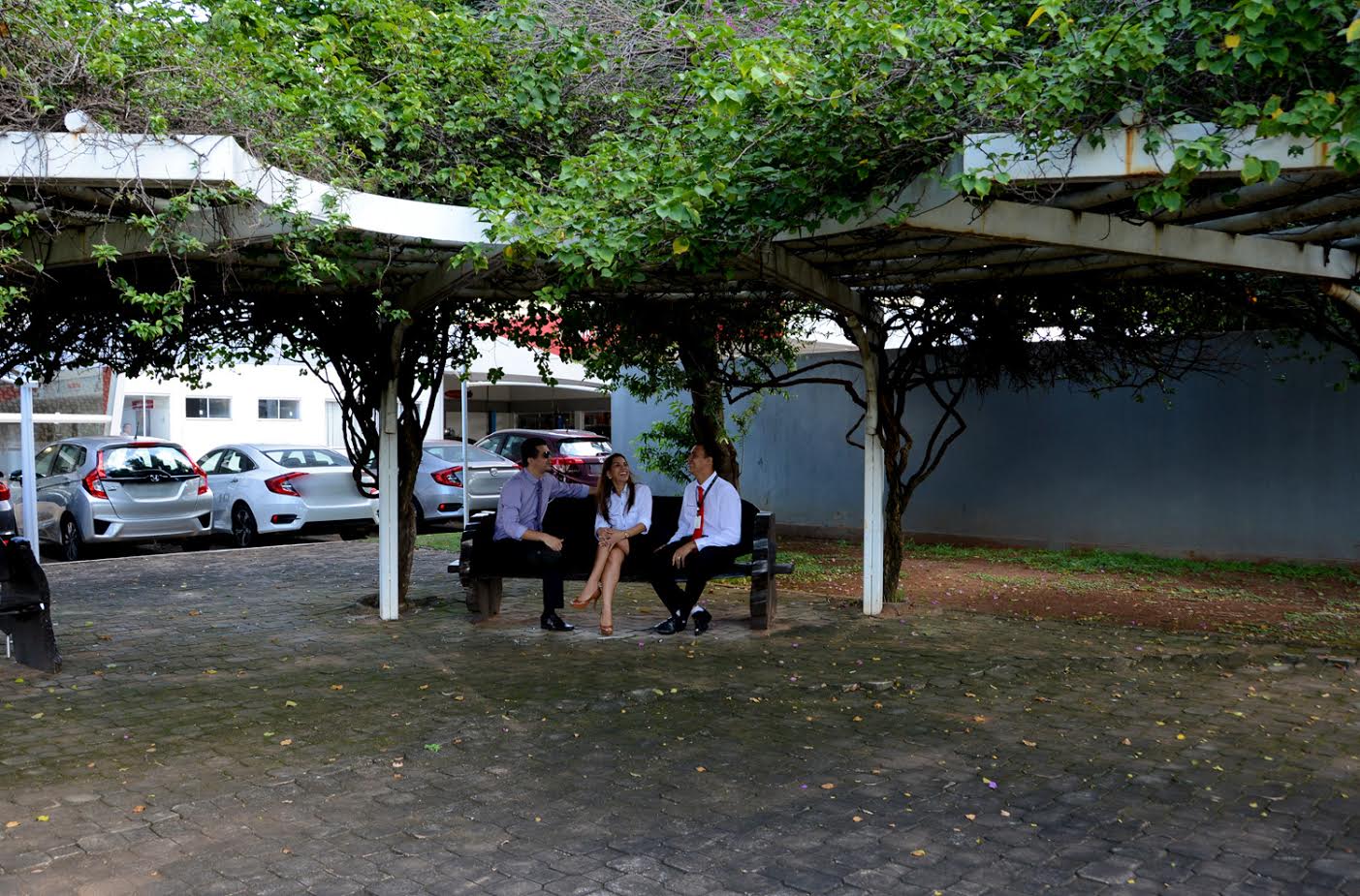 Programa Adote um Jardim embeleza a cidade e já conta com 230 empresas participantes
