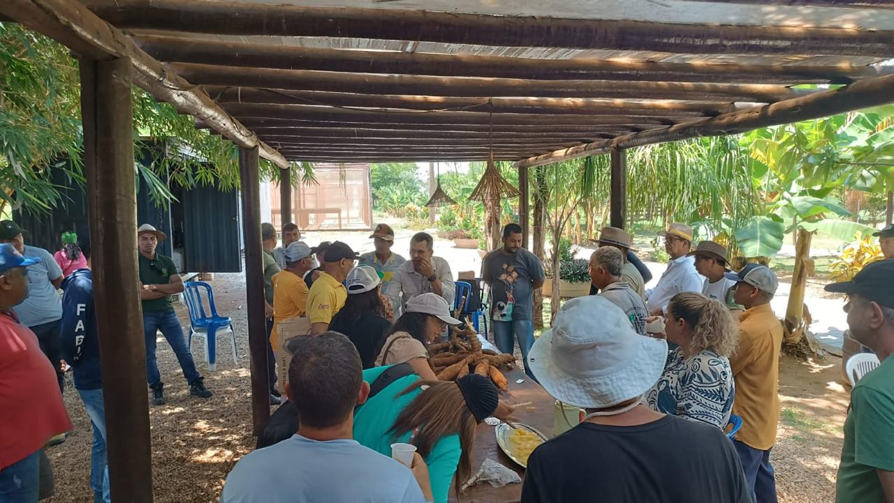 Pequenos produtores continuarão sendo acompanhados com suporte técnico da Secretaria Municipal de Agricultura e Região Metropolitana– Foto: Divulgação