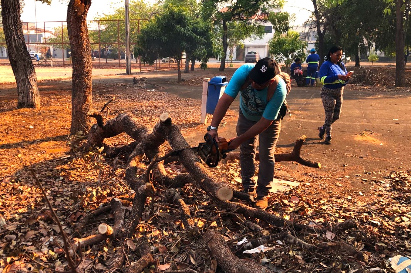 Entre outros serviços, houve a retirada de galhada na quadra Arso 62 (605 Sul)