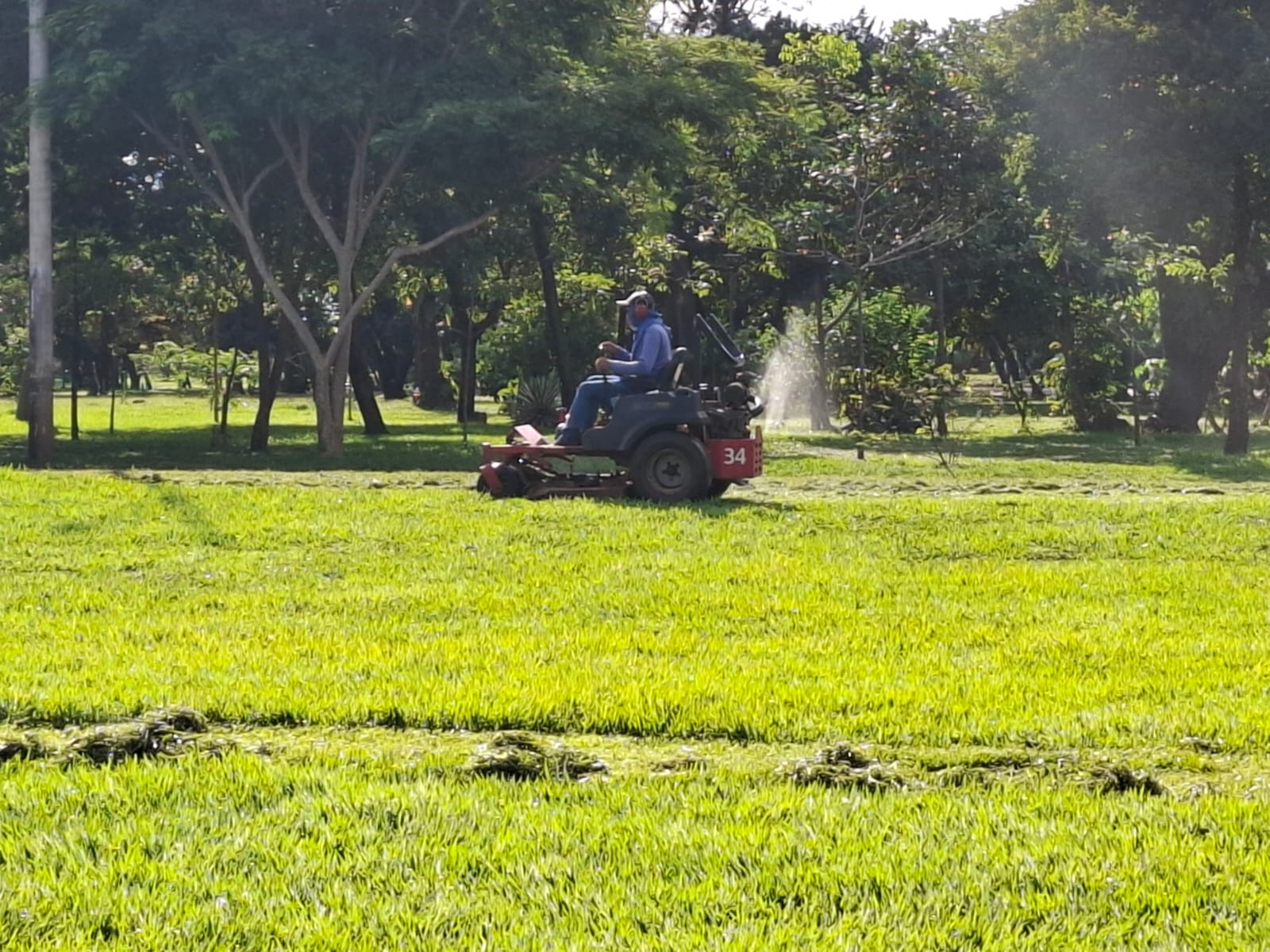 Corte de grama na Avenida Teotônio Segurado