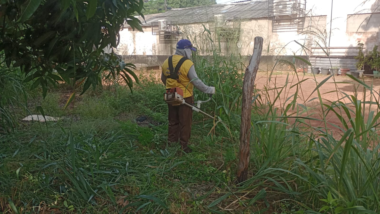 Roçagem de mato na Arse 14 (110 Sul)
