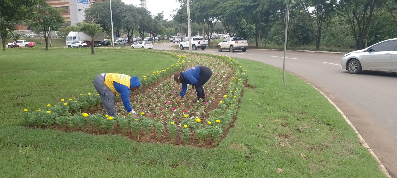 Prefeitura de Palmas revitaliza 18 praças e planta 8 mil mudas