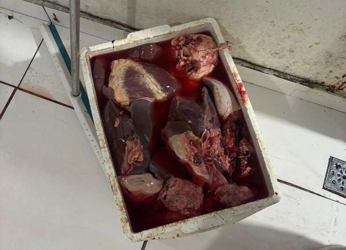 Produtos de origem animal sem higiene sanitária também foram confiscados/Foto: Divulgação Semus