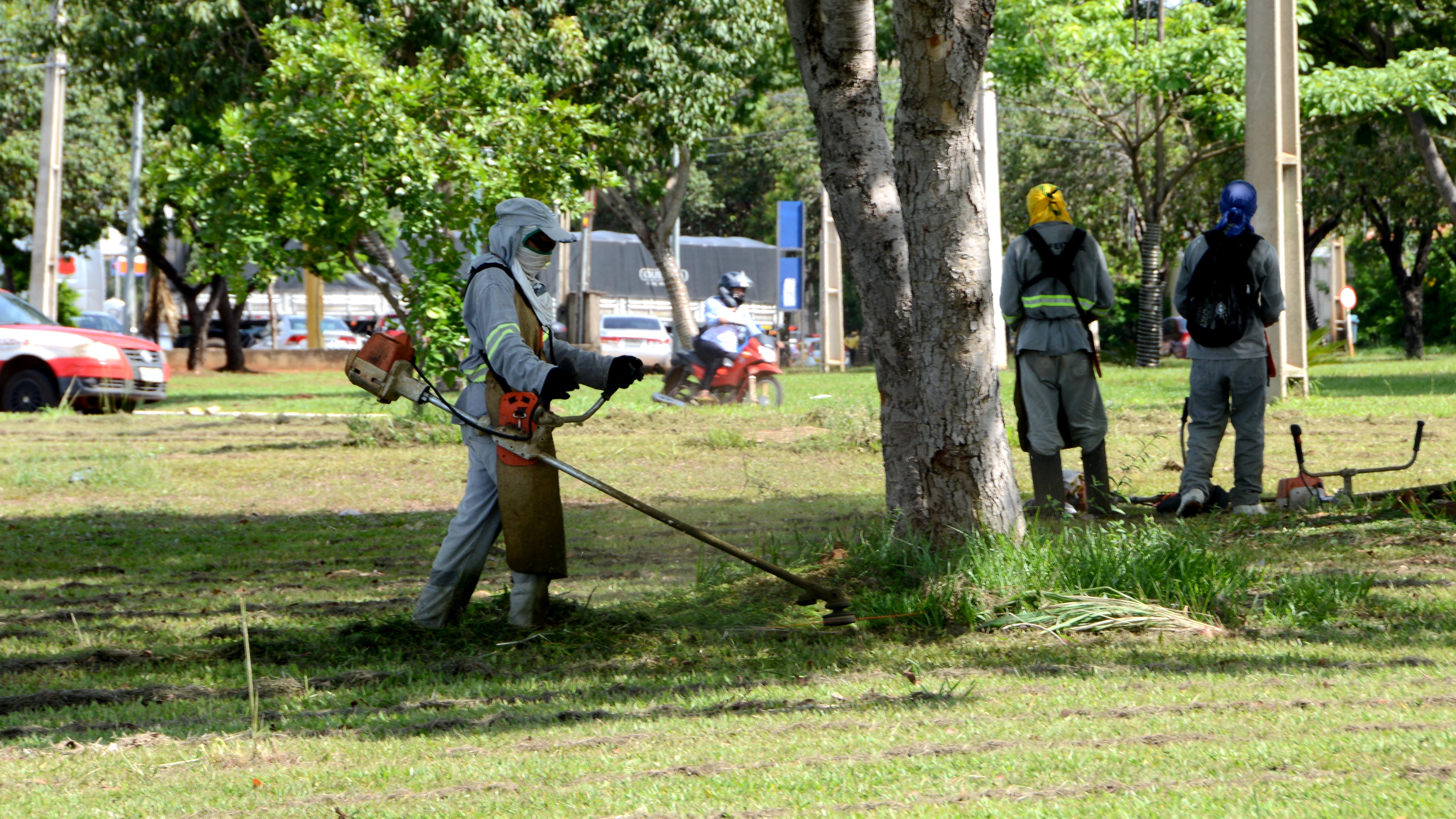 Prefeitura realiza limpeza preventiva em canteiros de avenidas, praças e jardins da Capital