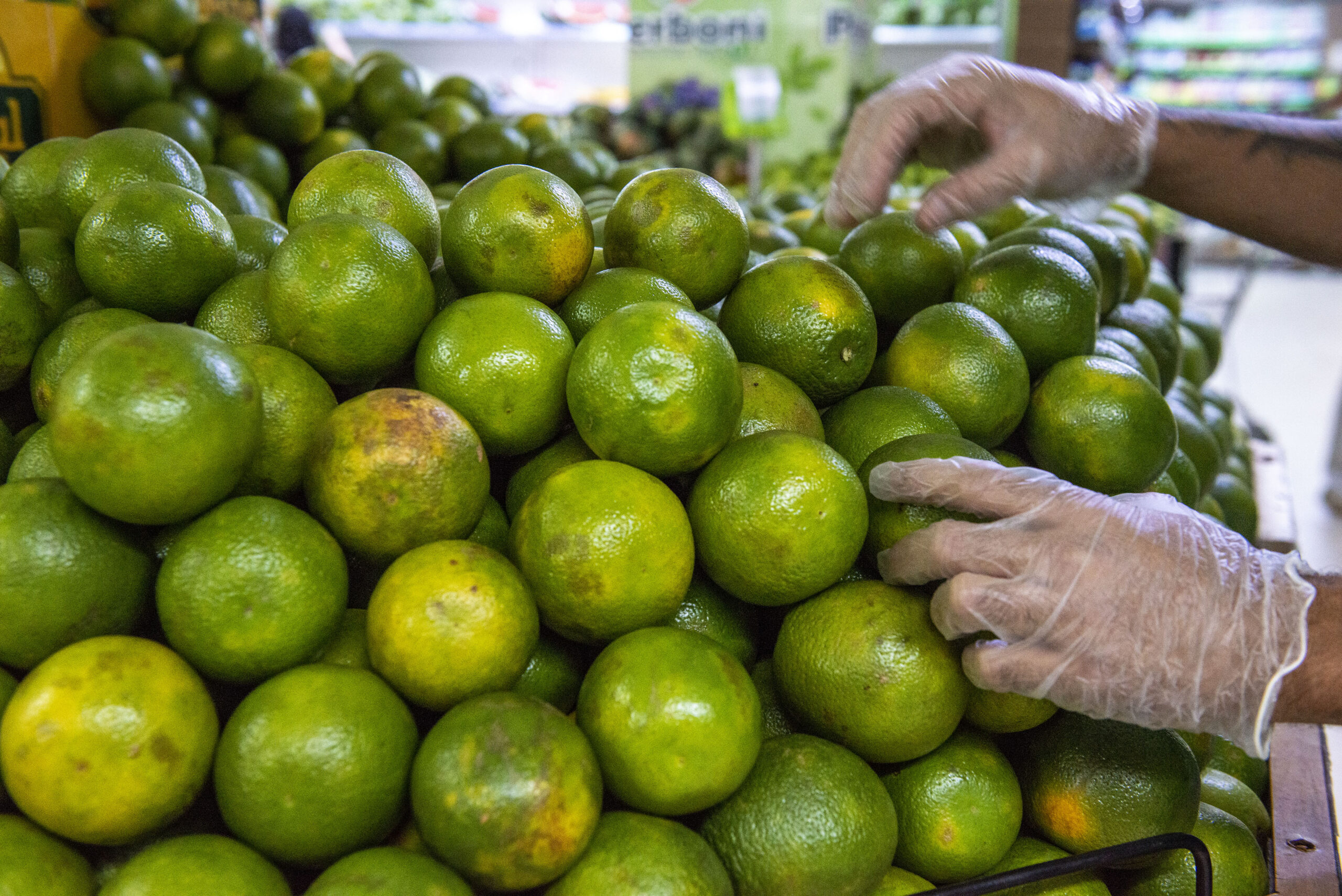 Procon realiza primeira pesquisa de preços de produtos alimentícios de 2024