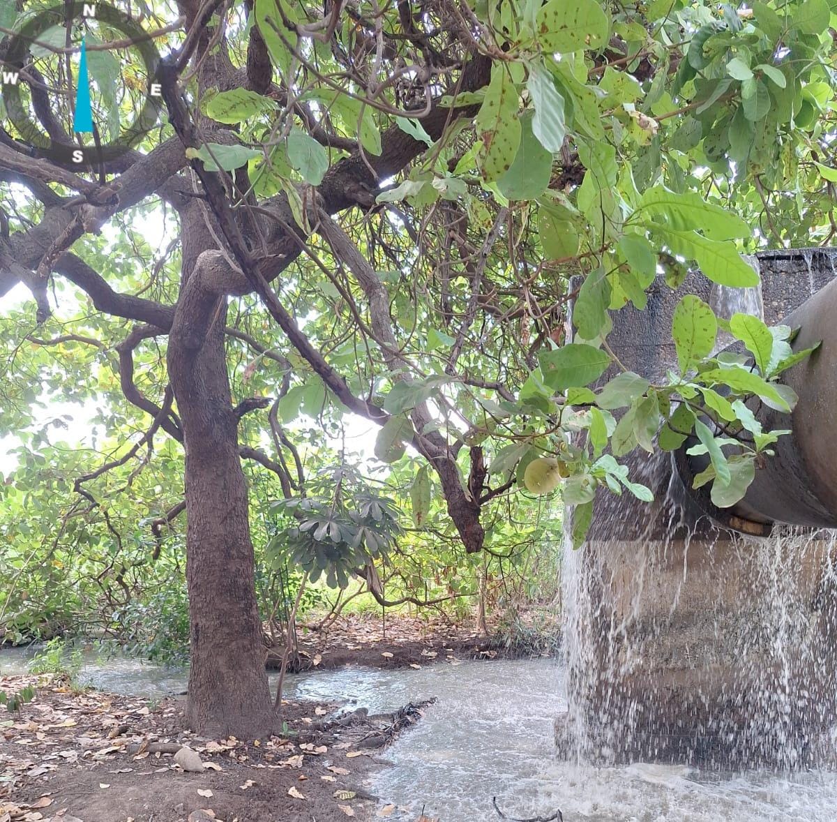 Agência de Regulação de Palmas multa  BRK em quase R$ 1,8 milhão por extravasamento de esgoto