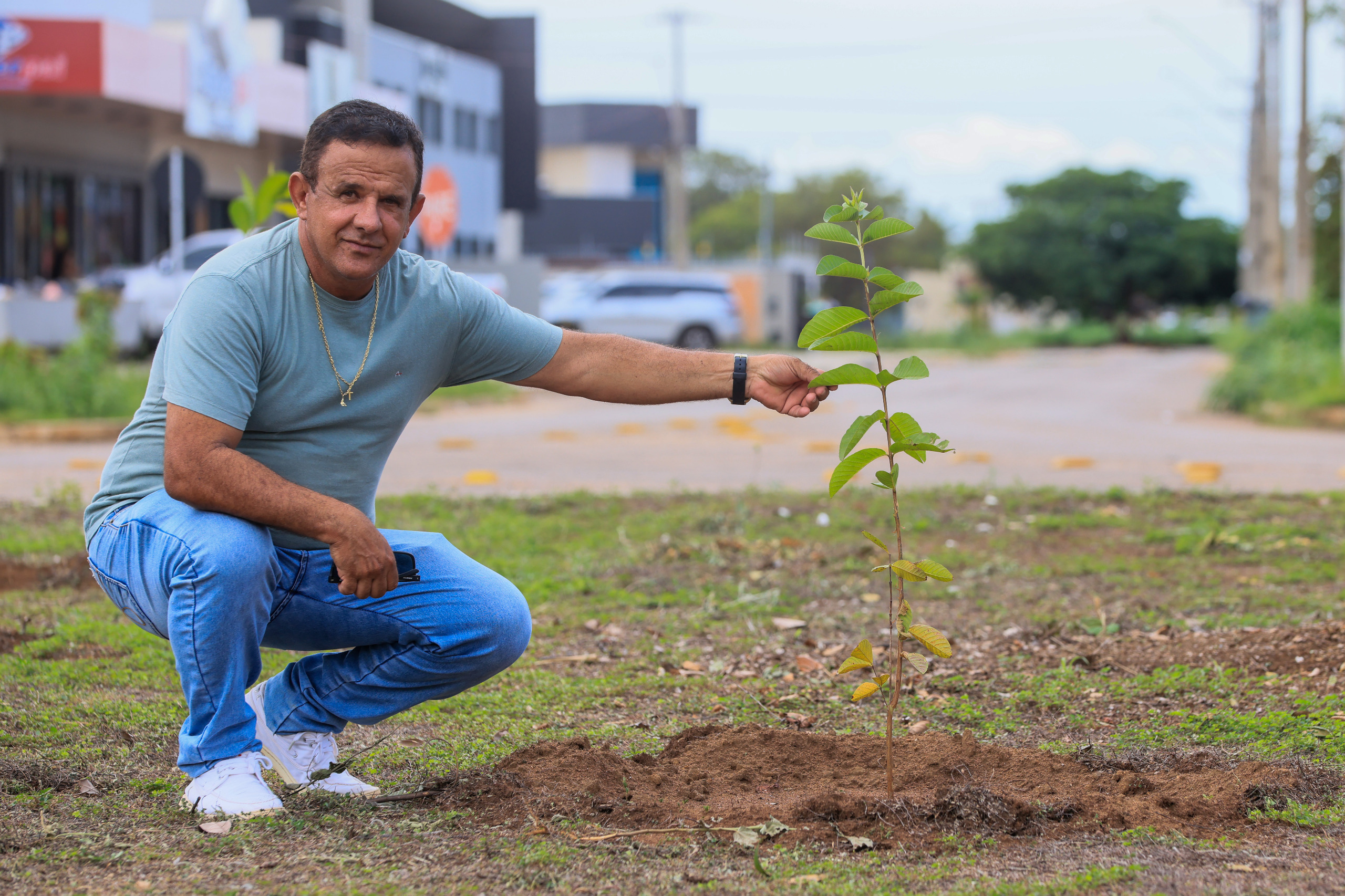 União de moradores transforma a Arso 52 em exemplo de cuidado com os espaços públicos, em Palmas