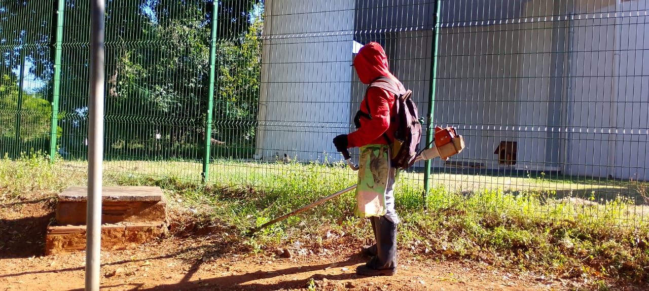 Roçagem próximo ao restaurante em Taquaralto