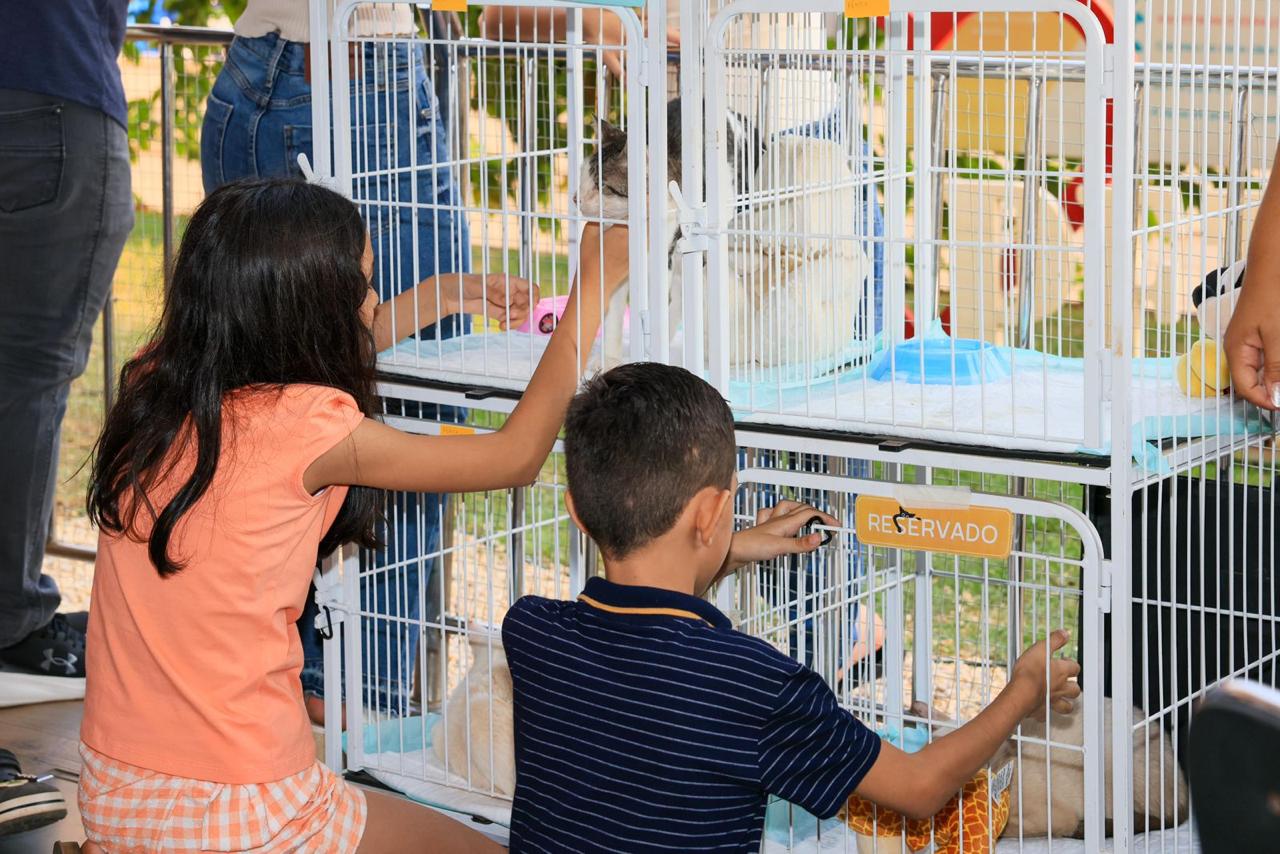Prefeitura de Palmas realiza neste sábado, 11, evento de adoção de cães e gatos no Palmas Shopping