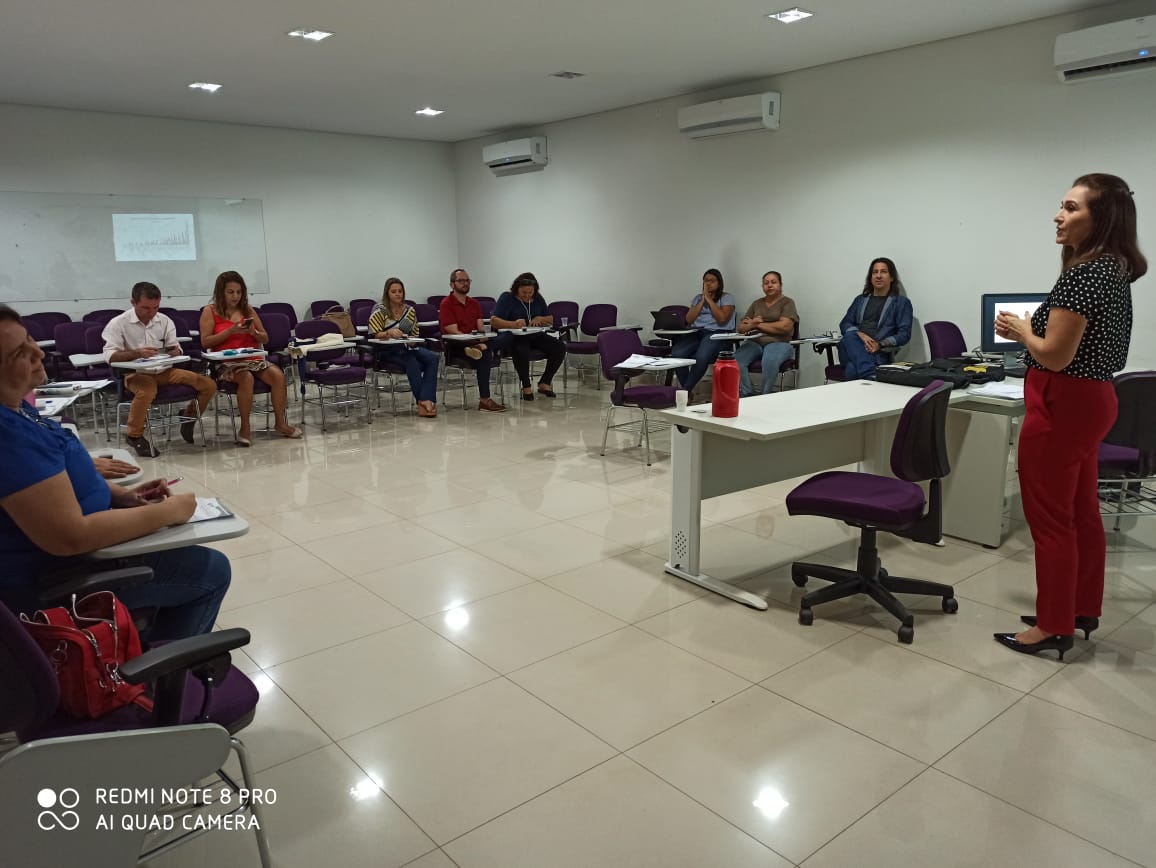 Membros do Colegiado Gestor do Sise-SUS se reúnem para fortalecer o planejamento das ações de 2020