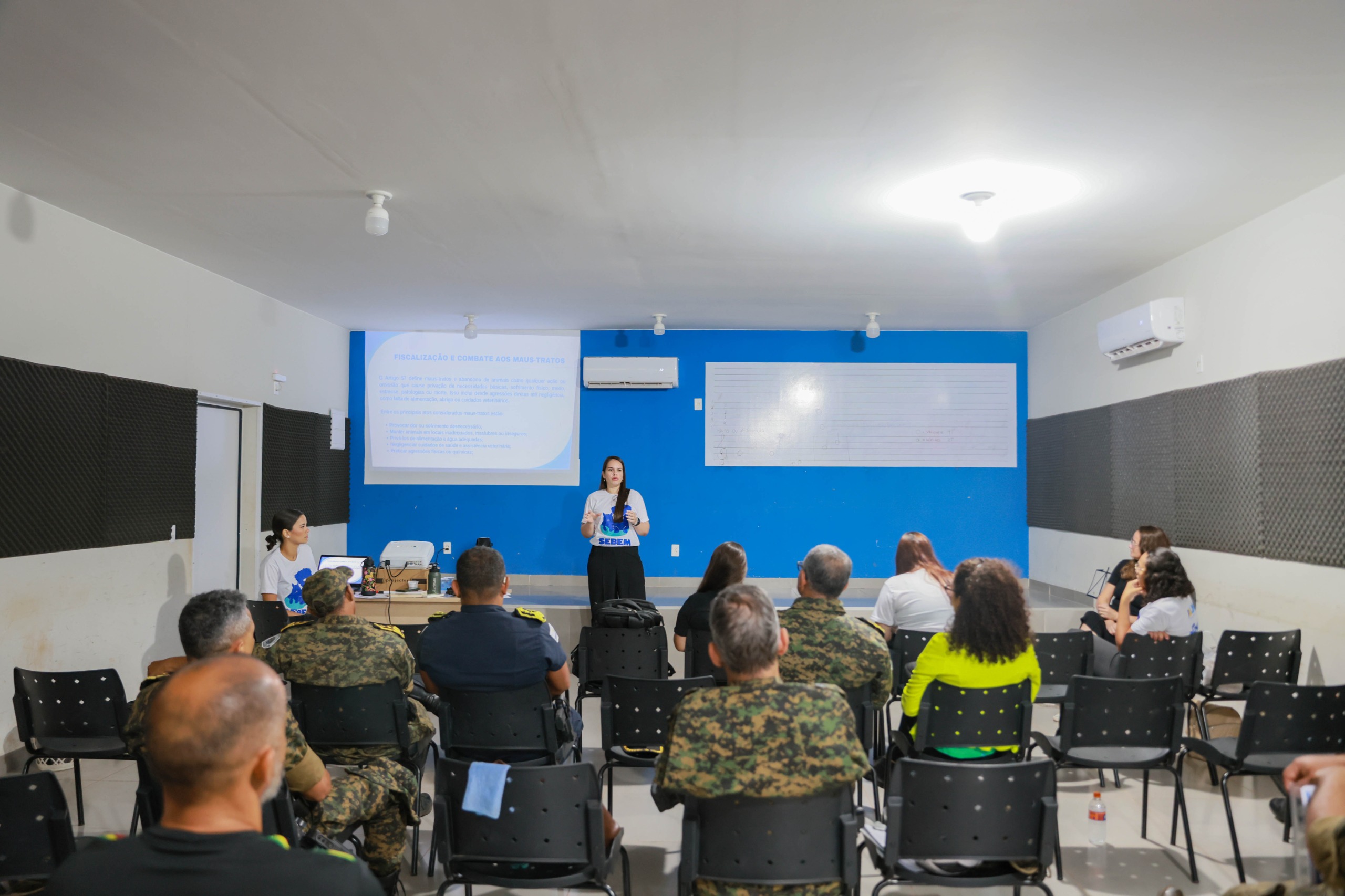 Médica Veterinária da Sebem discute principais pontos da MP 02/25