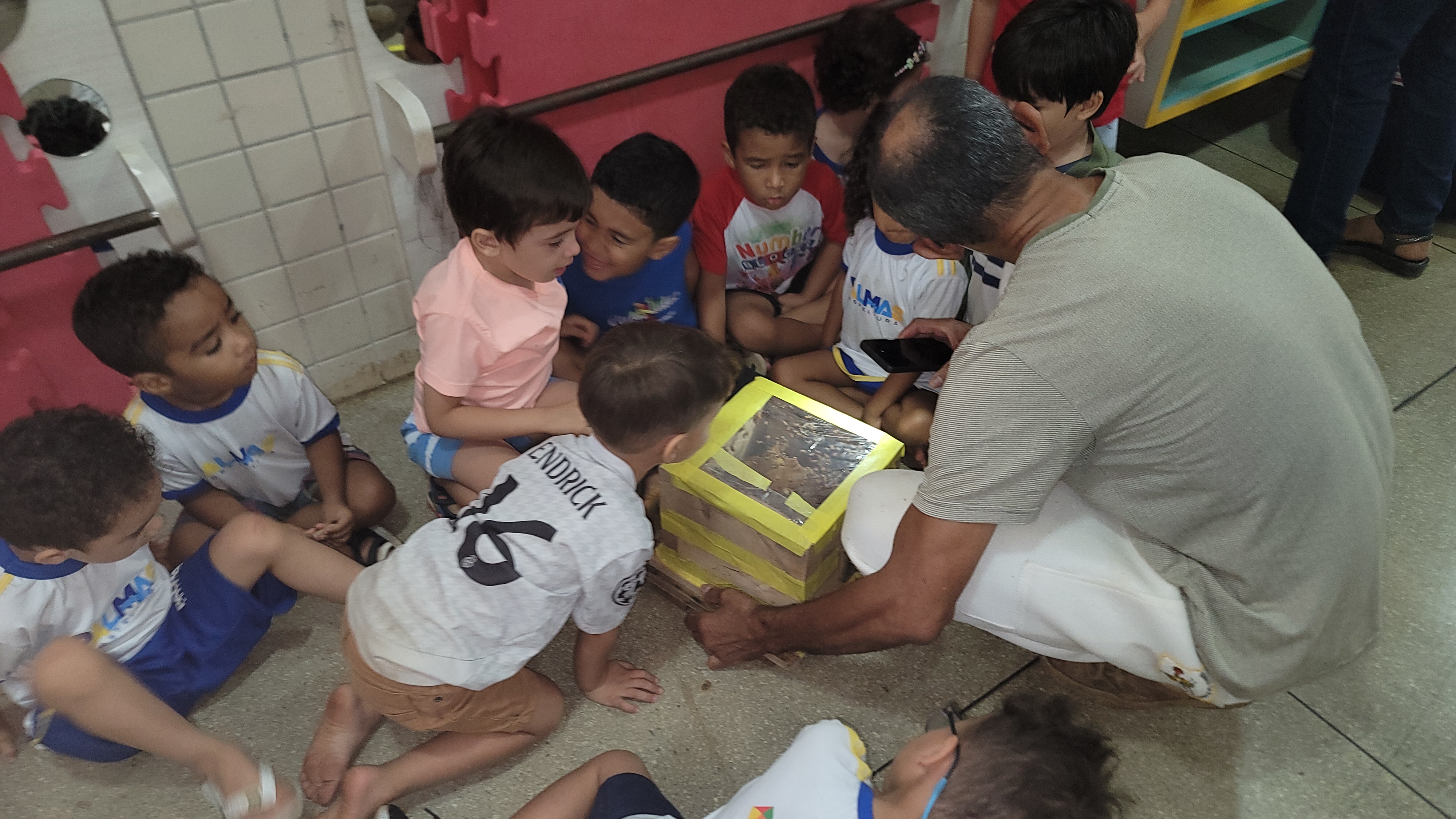 Uma mini colmeia de abelhas sem ferrão foi apresentada aos alunos - Vania Machado