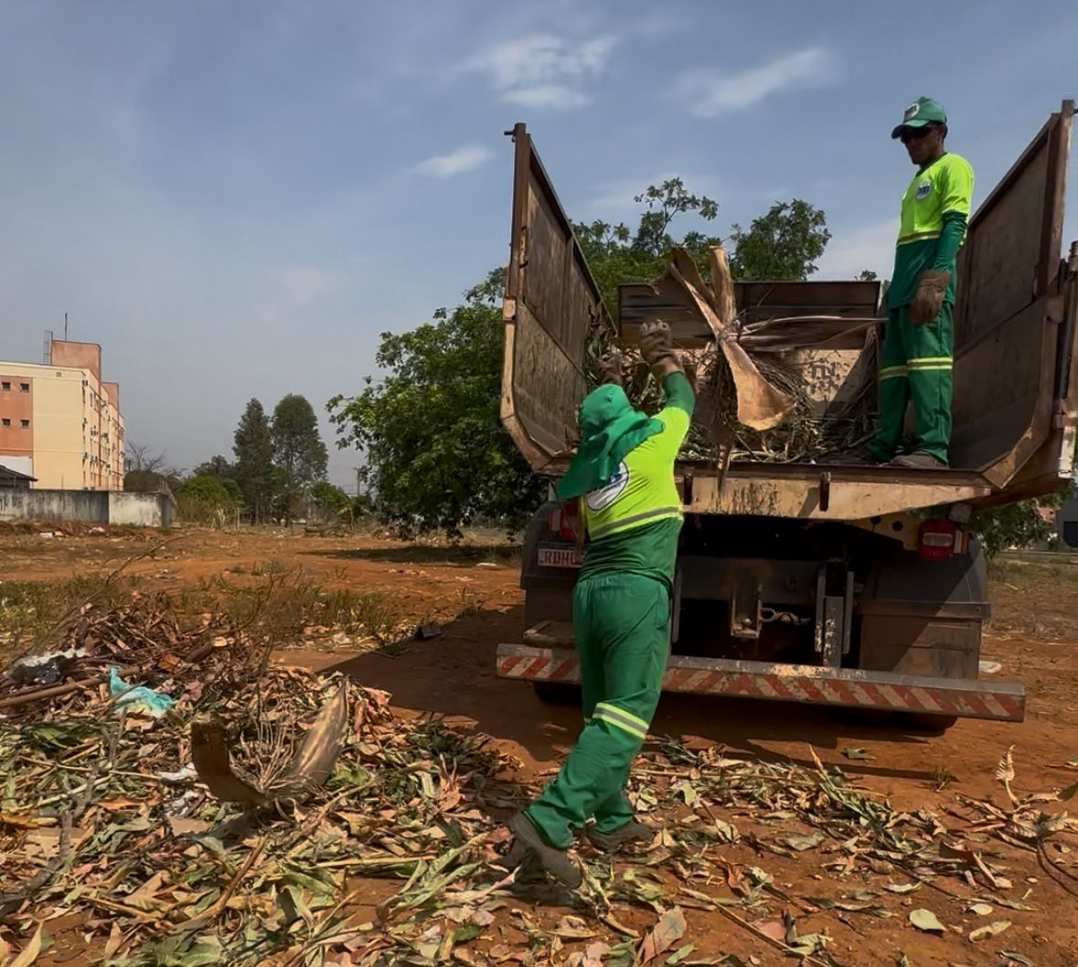 Coleta de galhadas é realizada em toda a cidade gratuitamente pela Prefeitura de Palmas 