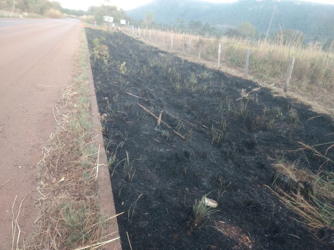 GMP Ambiental conduz quatro pessoas à delegacia por atear fogo às margens da TO-020