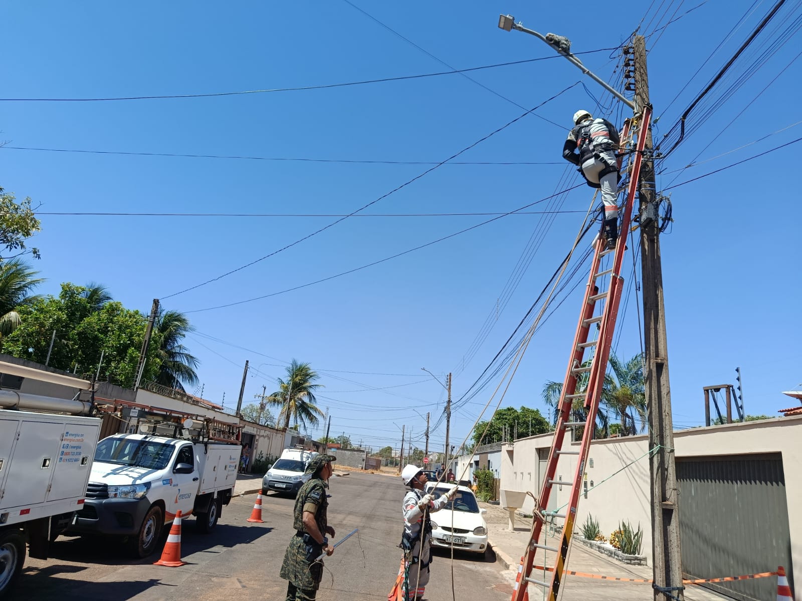 Guarda Metropolitana Ambiental resgata porco-espinho em poste de energia na região norte de Palmas