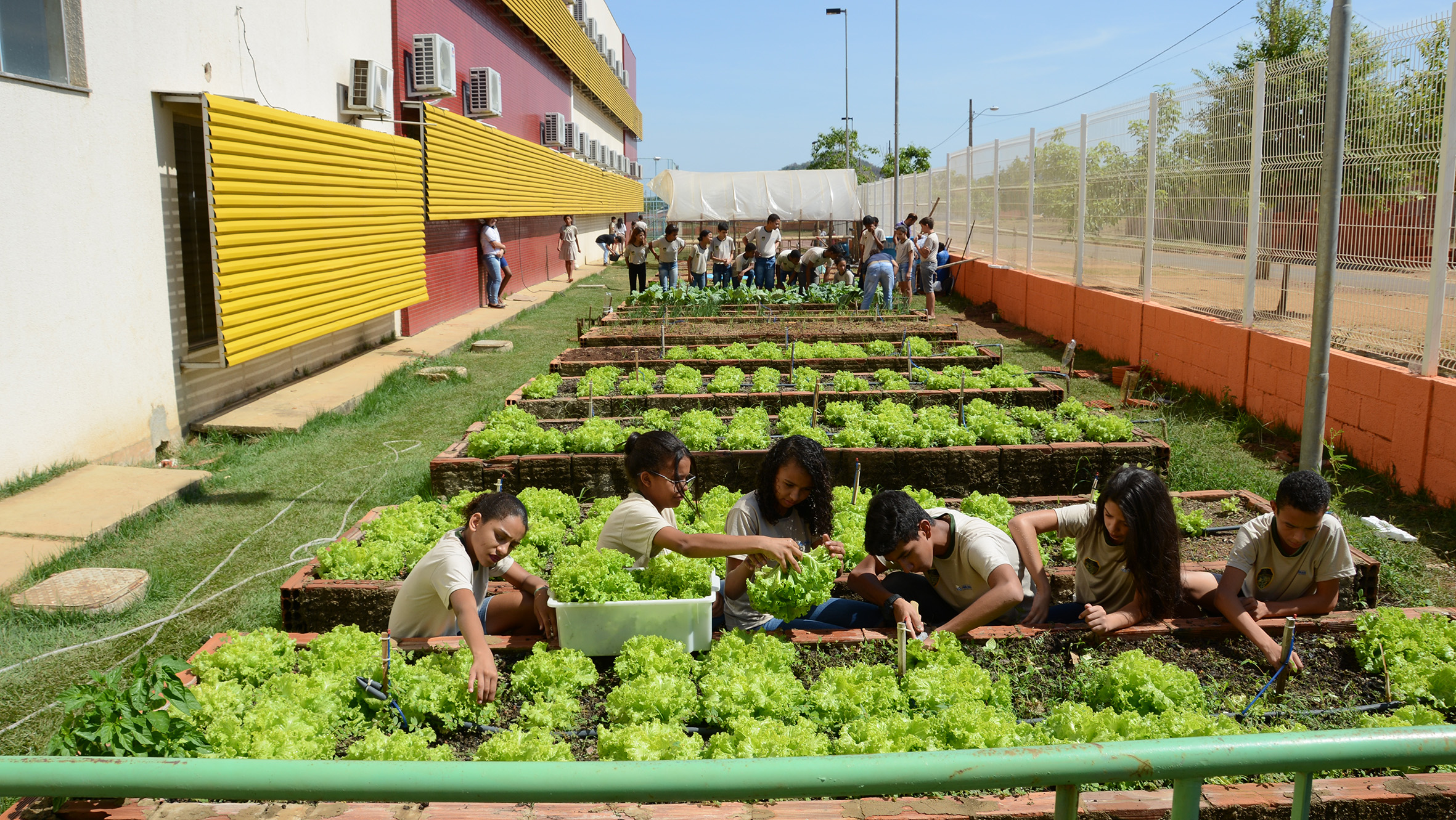 Sobras de comida e casca de frutas viram adubo orgânico para a horta escolar da ETI Duque de Caxias - Caroline Campelo