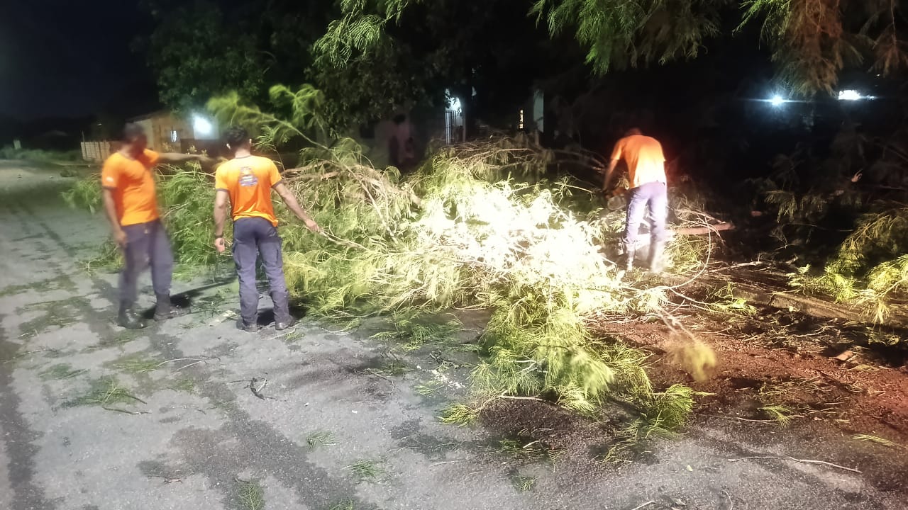 Defesa Civil de Palmas atende ocorrência de ventania no Jardim Taquari