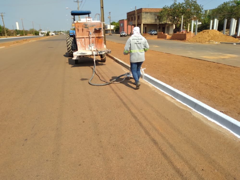 Avenida Palmas Brasil Norte recebe serviços de pintura em meios-fios