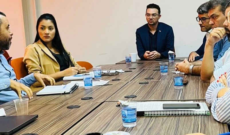 Membros da comissão durante reunião realizada nesta sexta-feira, 14