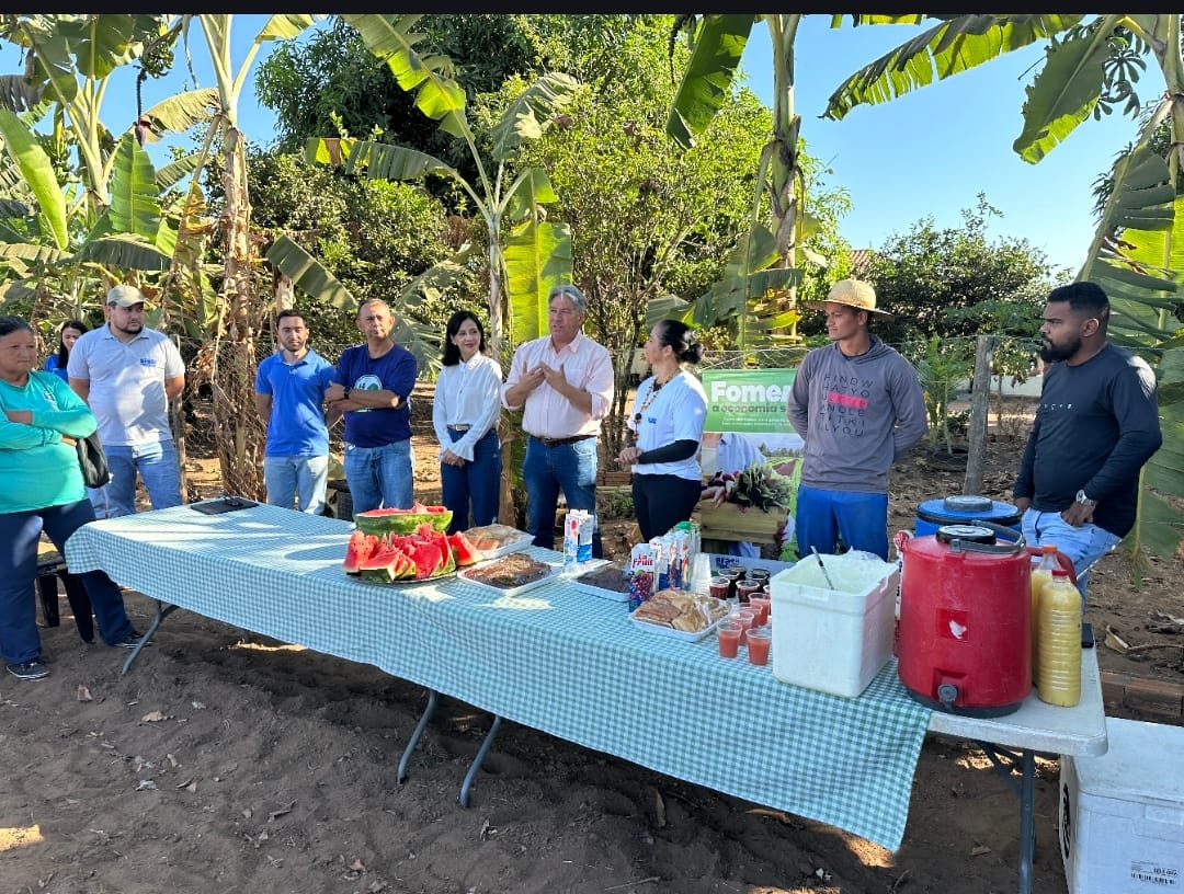 Produtores de hortaliças  de Palmas participam de oficina promovida pela Secretaria Municipal de Agricultura e Serviços do Interior (Seasi) em parceria com o Instituto Brasil Digital 