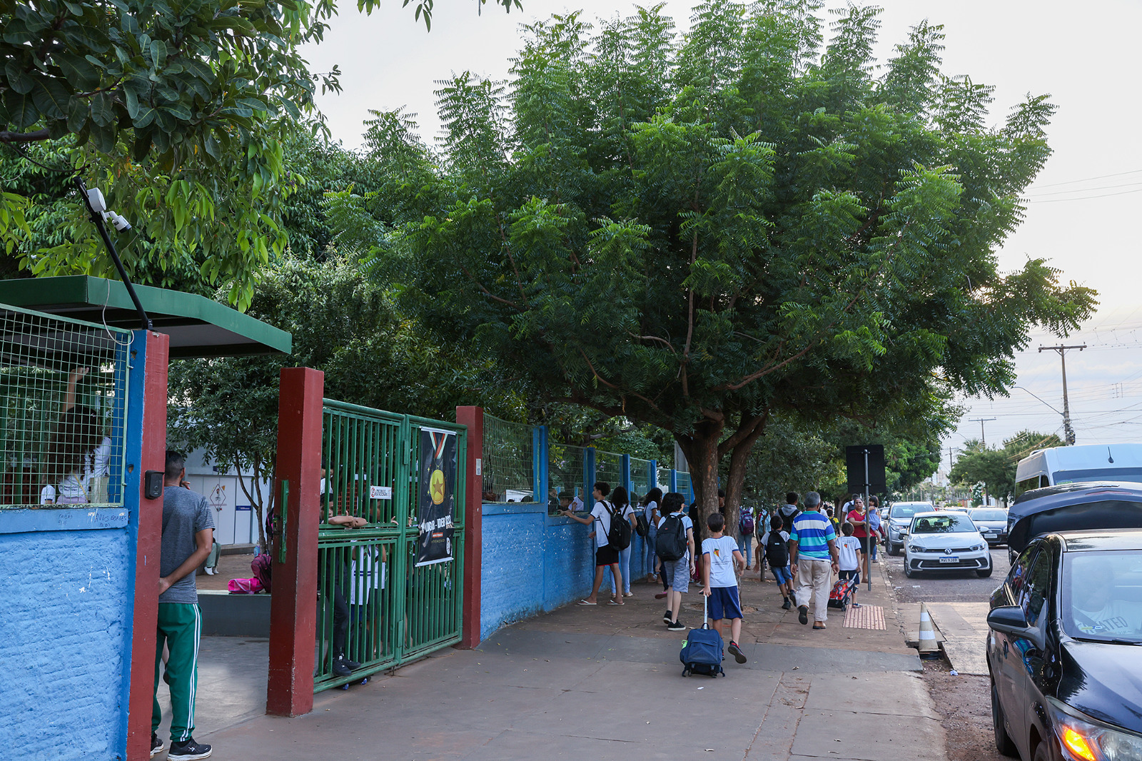 Diretores recebem orientação sobre substituição da árvore Nim Indiano plantada nas unidades de ensino de Palmas