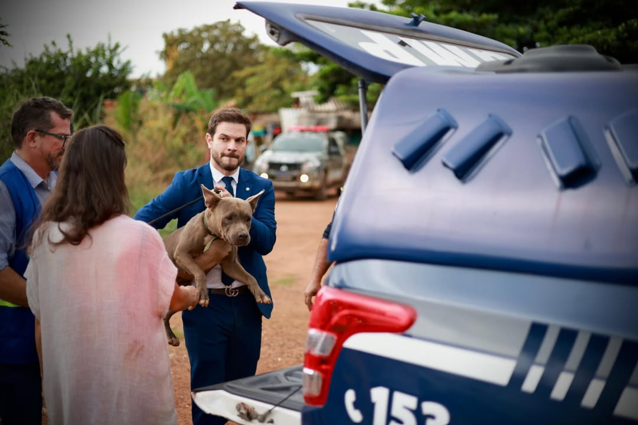 Prefeitura de Palmas reforça orientações sobre como denunciar maus-tratos a animais