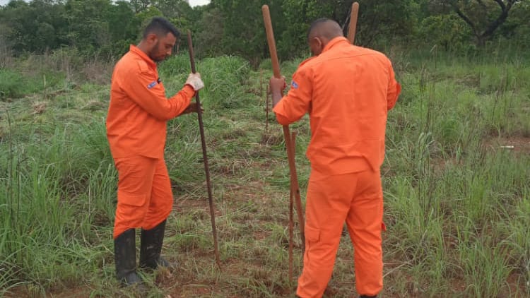 PrevIncêndio inicia trabalho de recuperação de áreas atingidas por queimadas