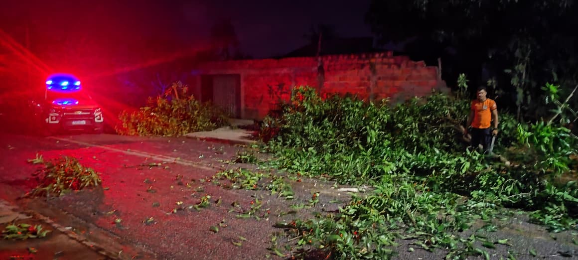 Agentes orientaram moradores e isolaram áreas de risco. Foto: Defesa Civil de Palmas