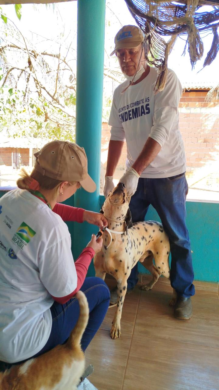 Equipe durante atendimento em residência no distrito Taquaruçu - Divulgação/Semus