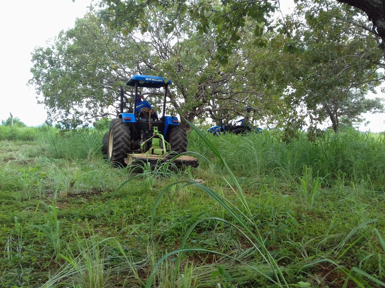 Cronograma semanal de limpeza pública é divulgado