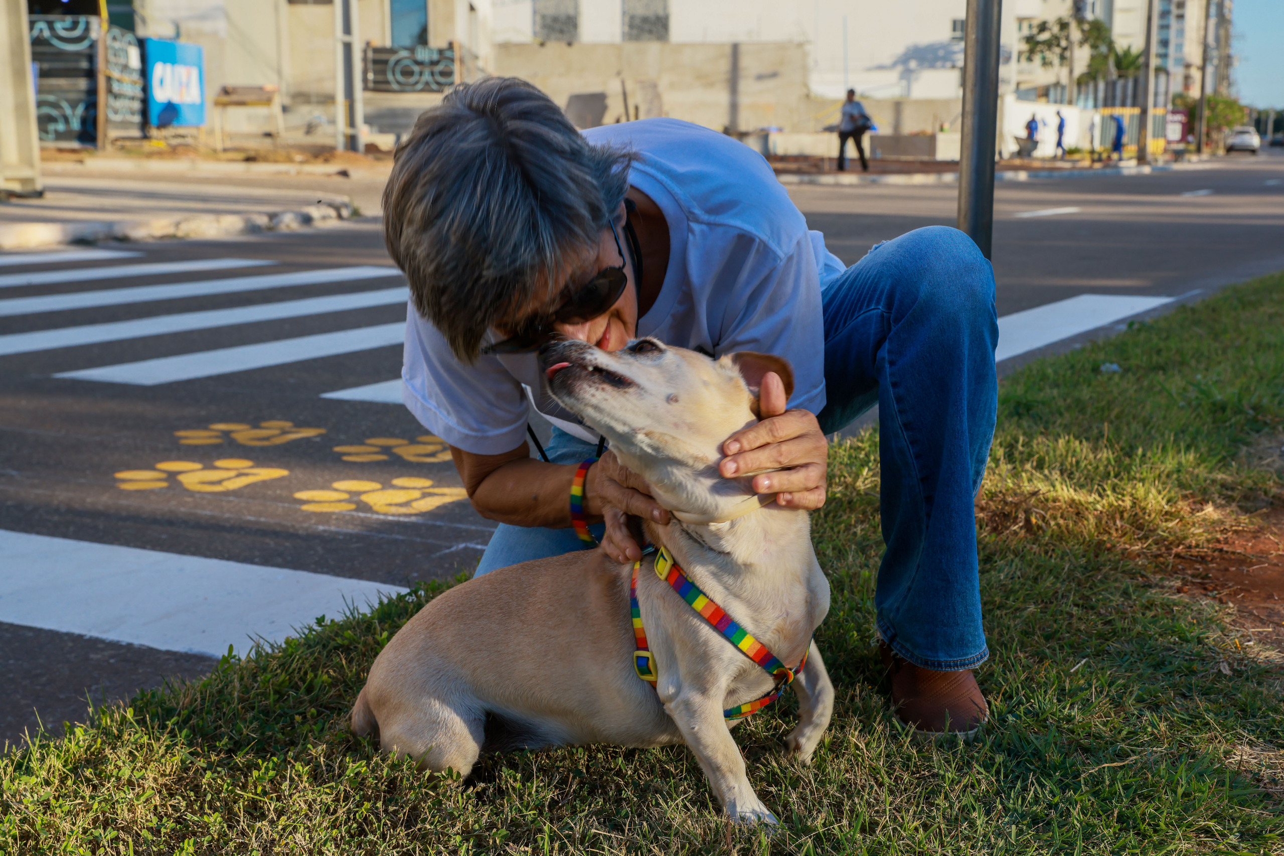 Quem tiver interesse em adotar um animalzinho pode entrar em contato com a Central de Adoção da Sebem