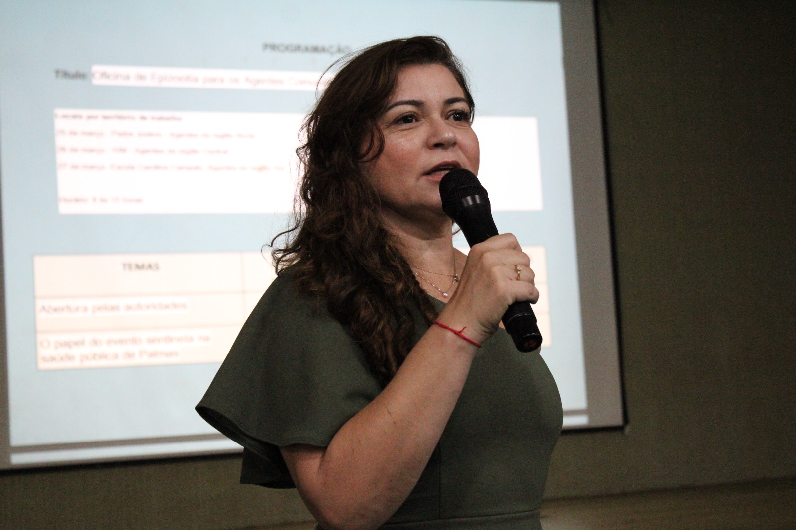 Agentes comunitários em saúde de Palmas participam de oficina sobre doenças como febre amarela e raiva