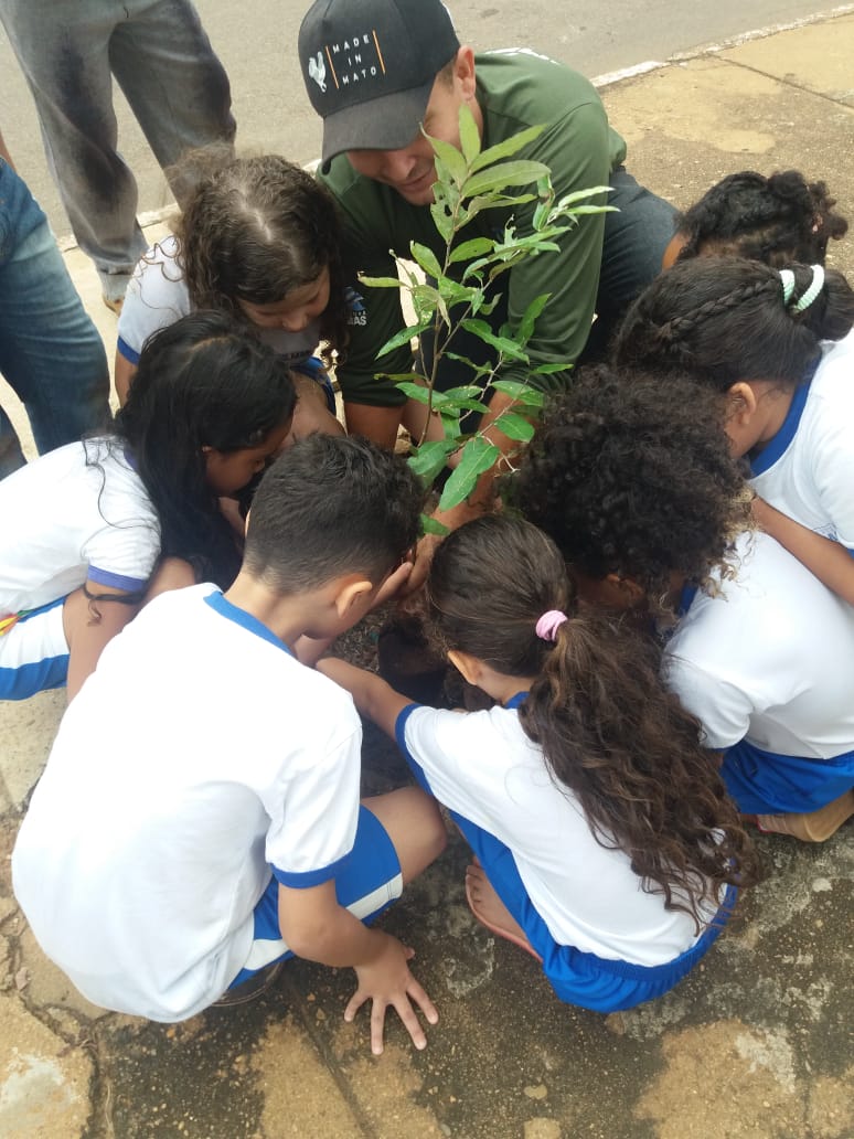 Escolas da rede municipal de Palmas recebem arborização em ação do Projeto Pé de Sombra