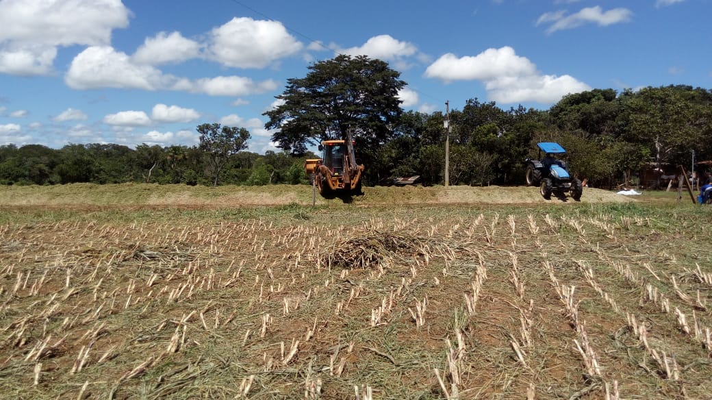 Unidade Demonstrativa de Pecuária Leiteira cumpre mais uma etapa com colheita de capim e sorgo para formação de silagem