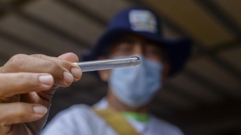 Prefeitura de Palmas segue com mutirão de limpeza na Arse 14 até sexta, 21