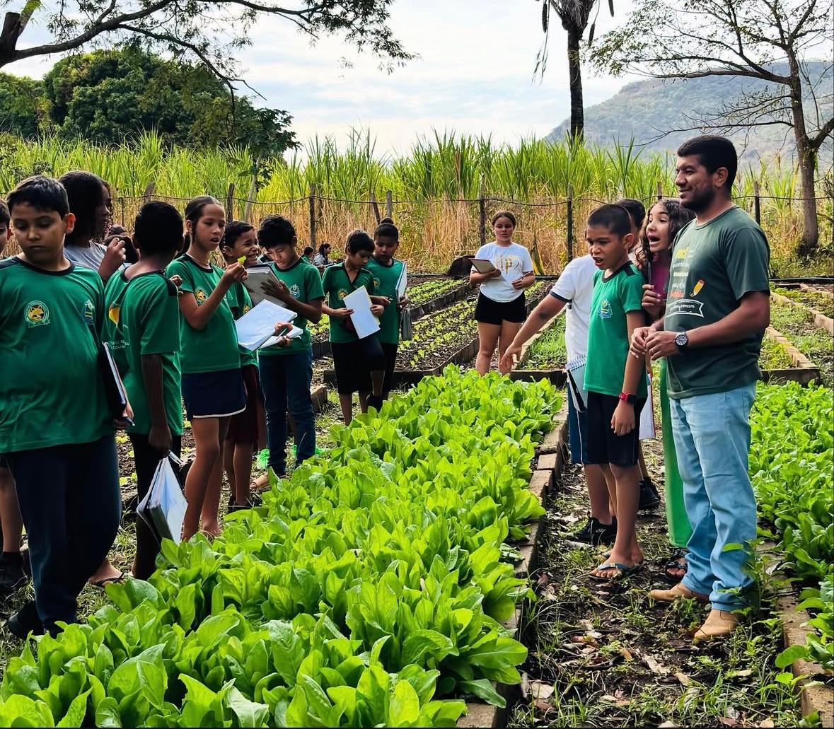 Atividade é desenvolvida dentro da disciplina saberes do campo e busca integrar o conhecimento escolar às demandas e à realidade local