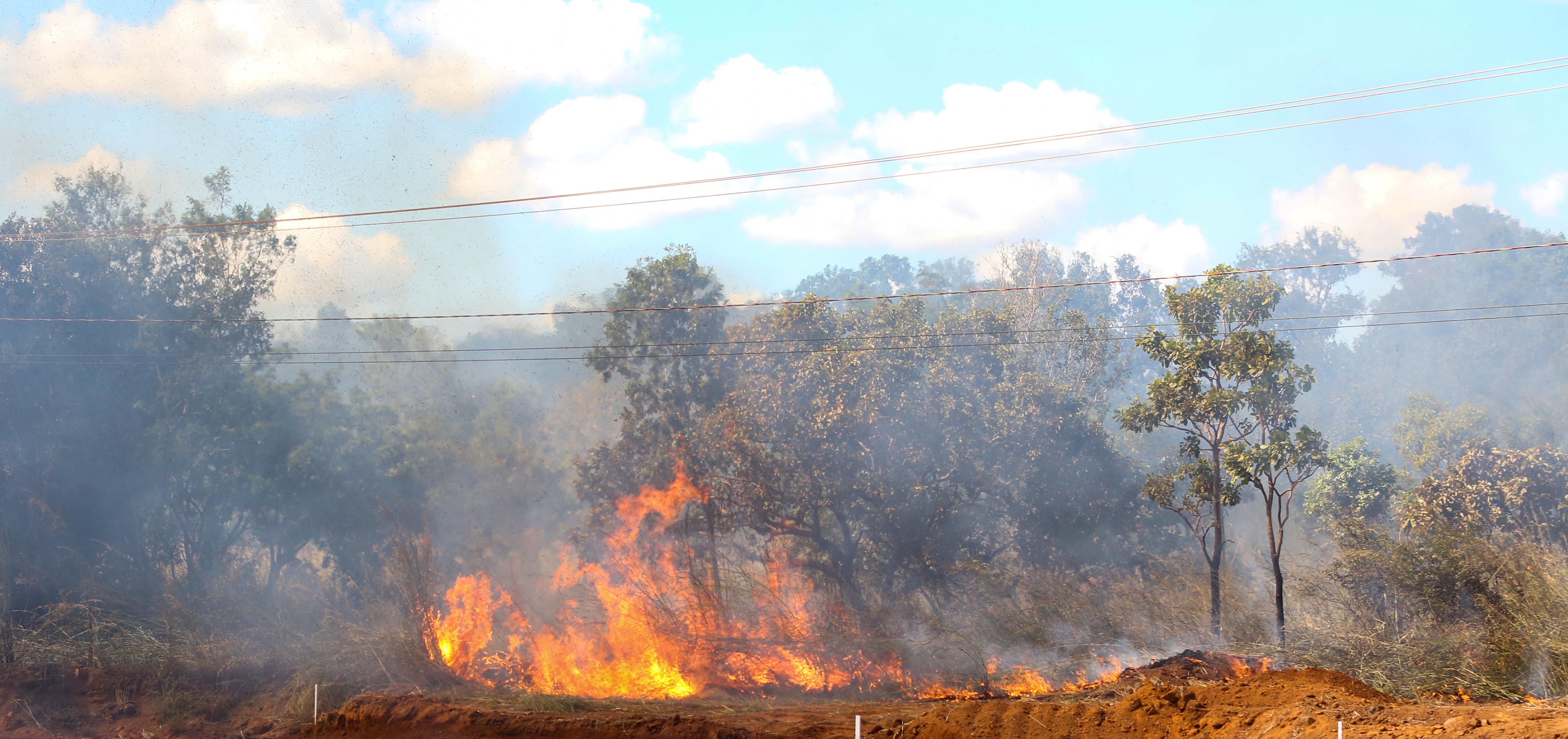 Fiscalização ambiental da GMP lança programa de notificação educativa contra as queimadas