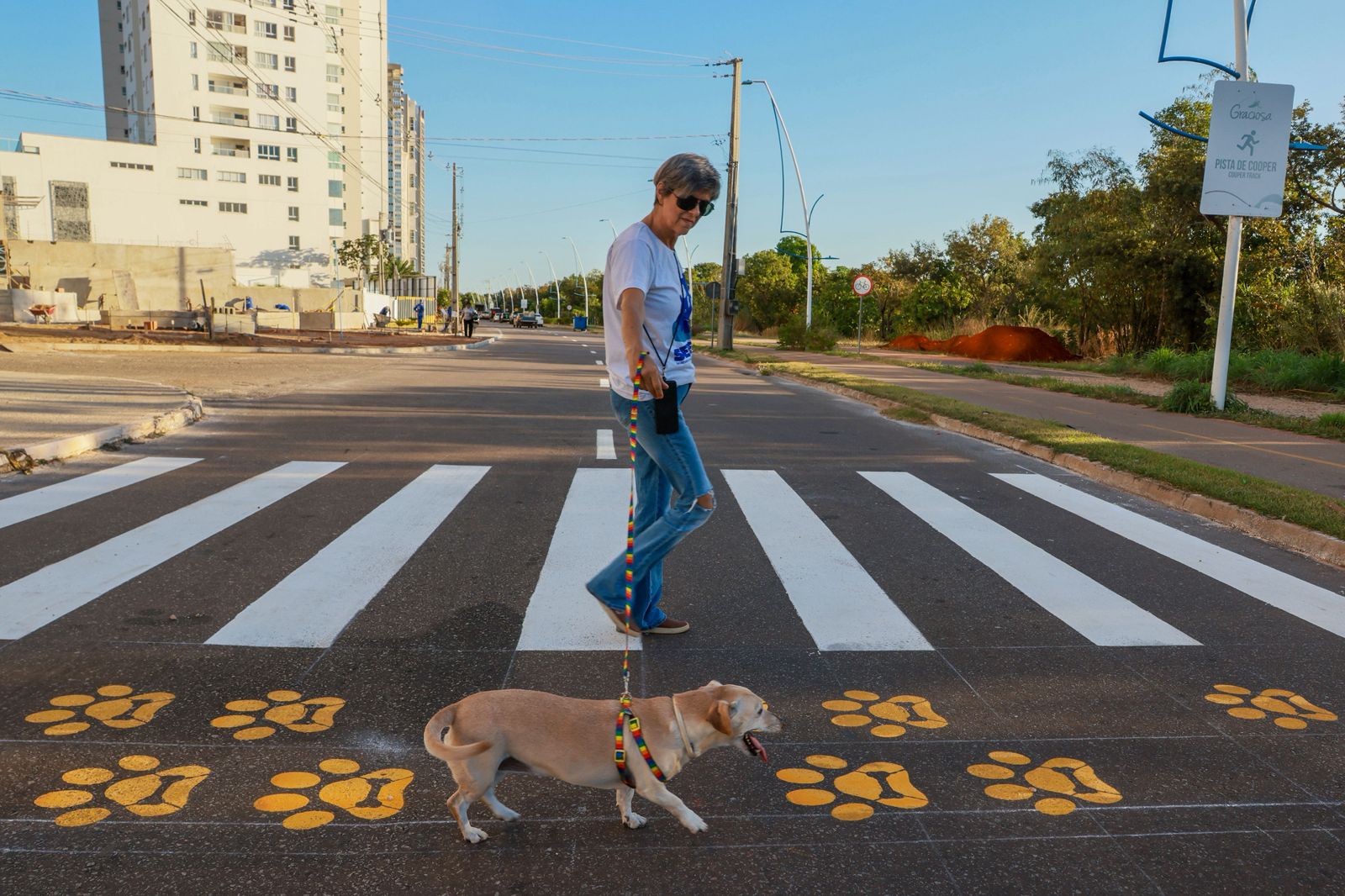 Prefeitura de Palmas alerta sobre cuidados com animais de estimação no verão