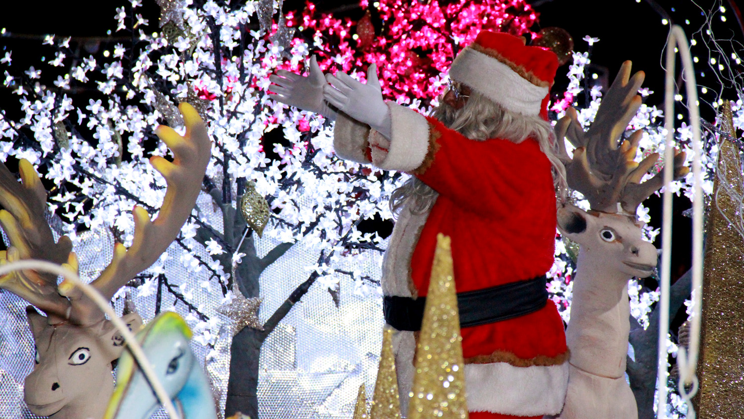 Encerramento do Desfile Natal dos Sonhos encanta palmenses e visitantes