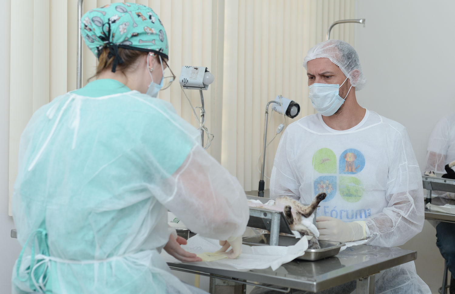 Abertas inscrições para preceptores na área da saúde em Palmas