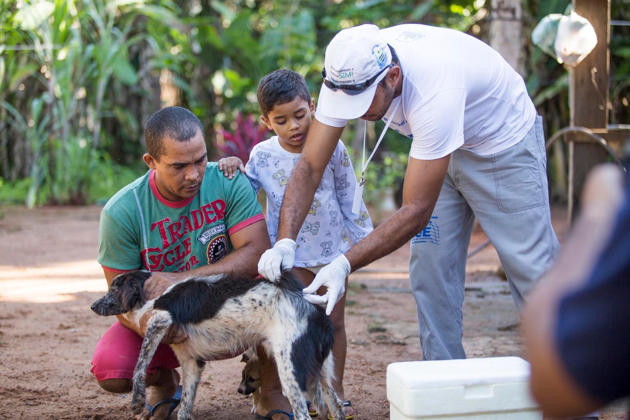 Leishmaniose visceral ou calazar: saiba como prevenir