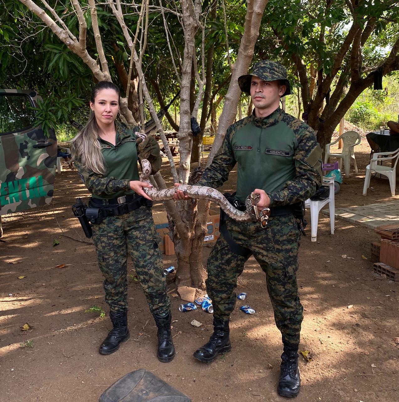 Guarda Metropolitana Ambiental de Palmas orienta população como agir ao se deparar com animais peçonhentos 