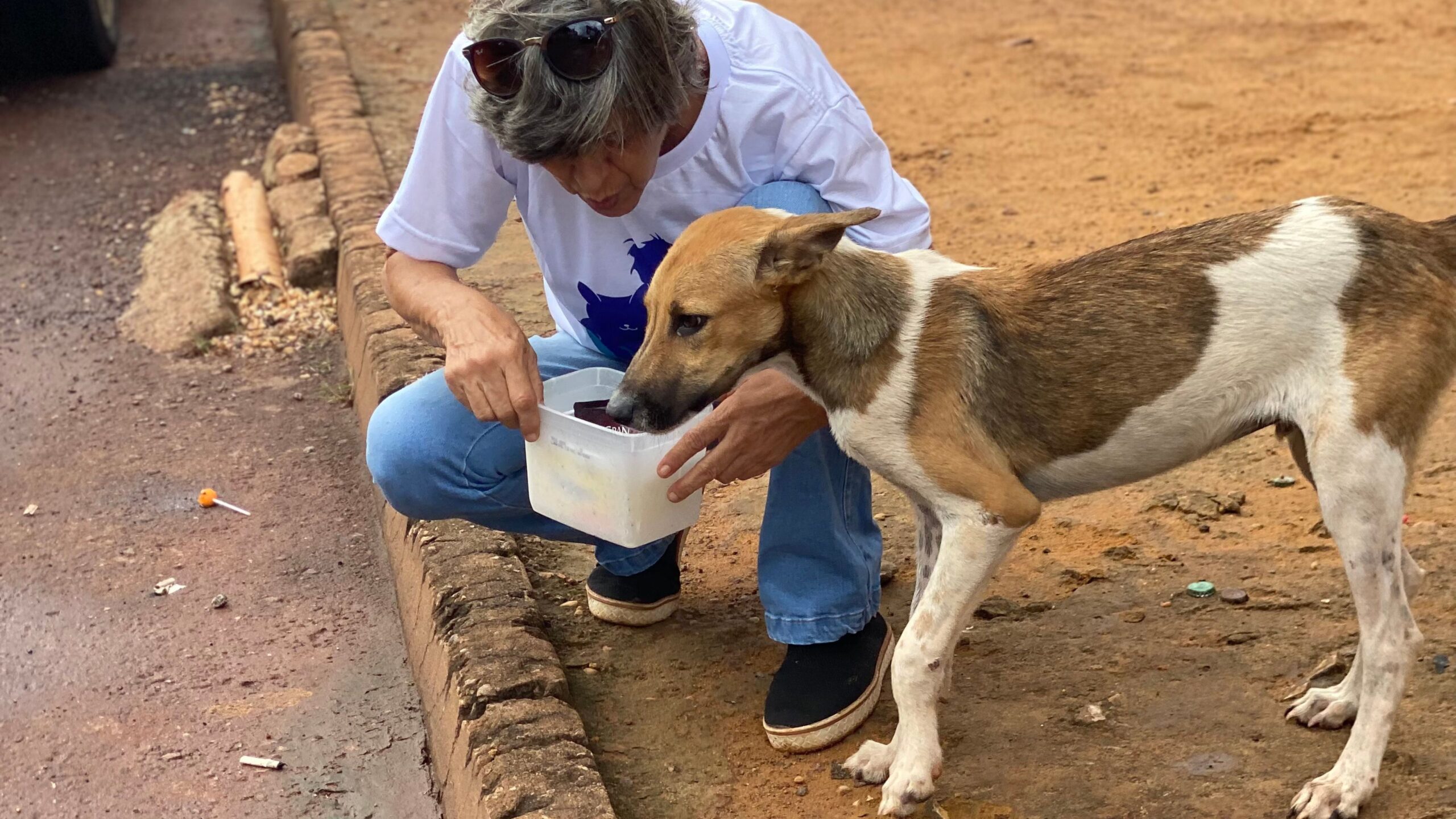 Prefeitura de Palmas alerta para cuidados com animais durante período de baixa umidade