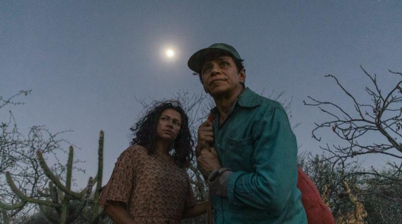 ‘Agreste’ estreia com programação especial no Cine Cultura