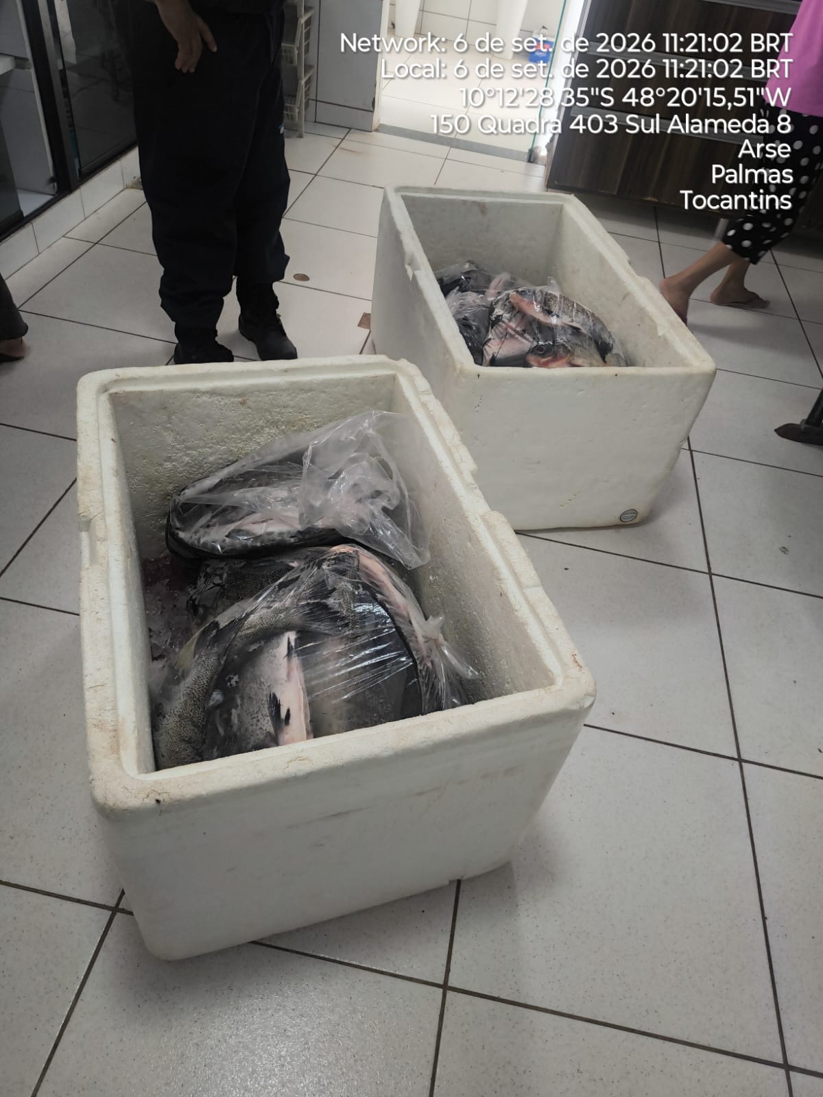 Guarda Metropolitana apreende 107 kg de pescado irregular e prende homem com mandado em aberto
